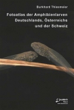 Amphibienlarven Deutschlands, Österreichs und der Schweiz (Suppl. 17)
