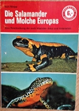 Salamander und Molche Europas