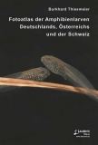 Amphibienlarven Deutschlands, Österreichs und der Schweiz (Suppl. 17) - pdf