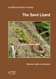 The Sand Lizard