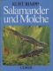 Salamander und Molche