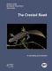 The Crested Newt
